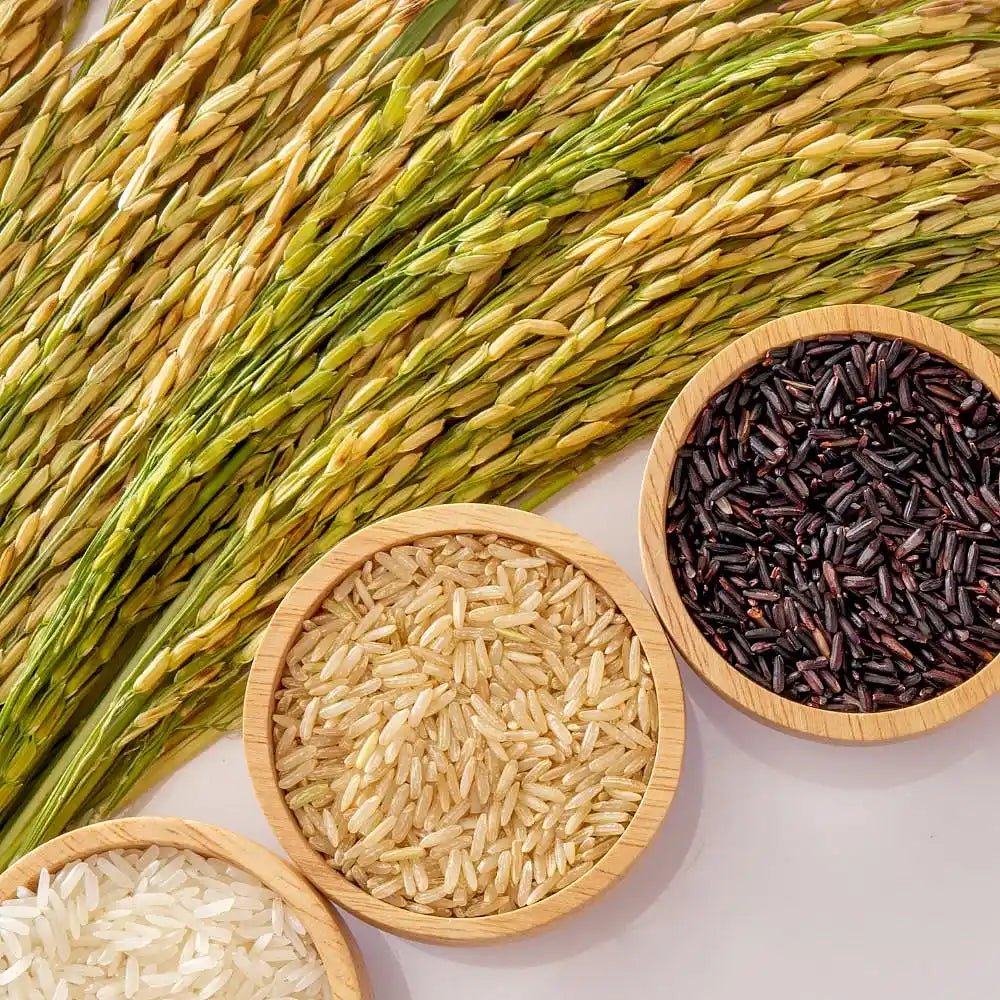 The River That Named a Rice: The Ponni-Kaveri Connection Explained - SS Brand Rice ®️