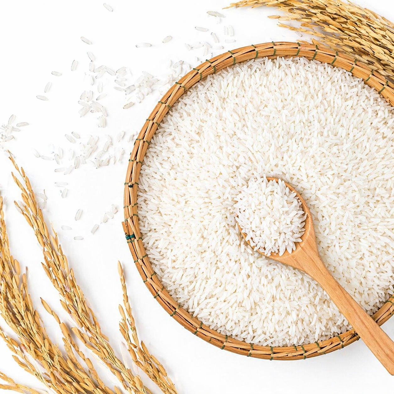 Rice